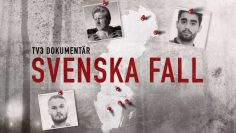 Svenska fall: Den ofrivillige mördaren?   TV3 (SE)